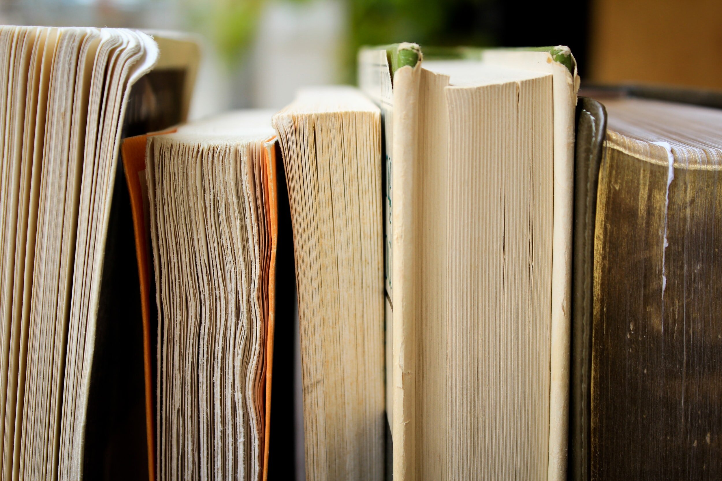 5 Must-Read Books That Changed My Mindset